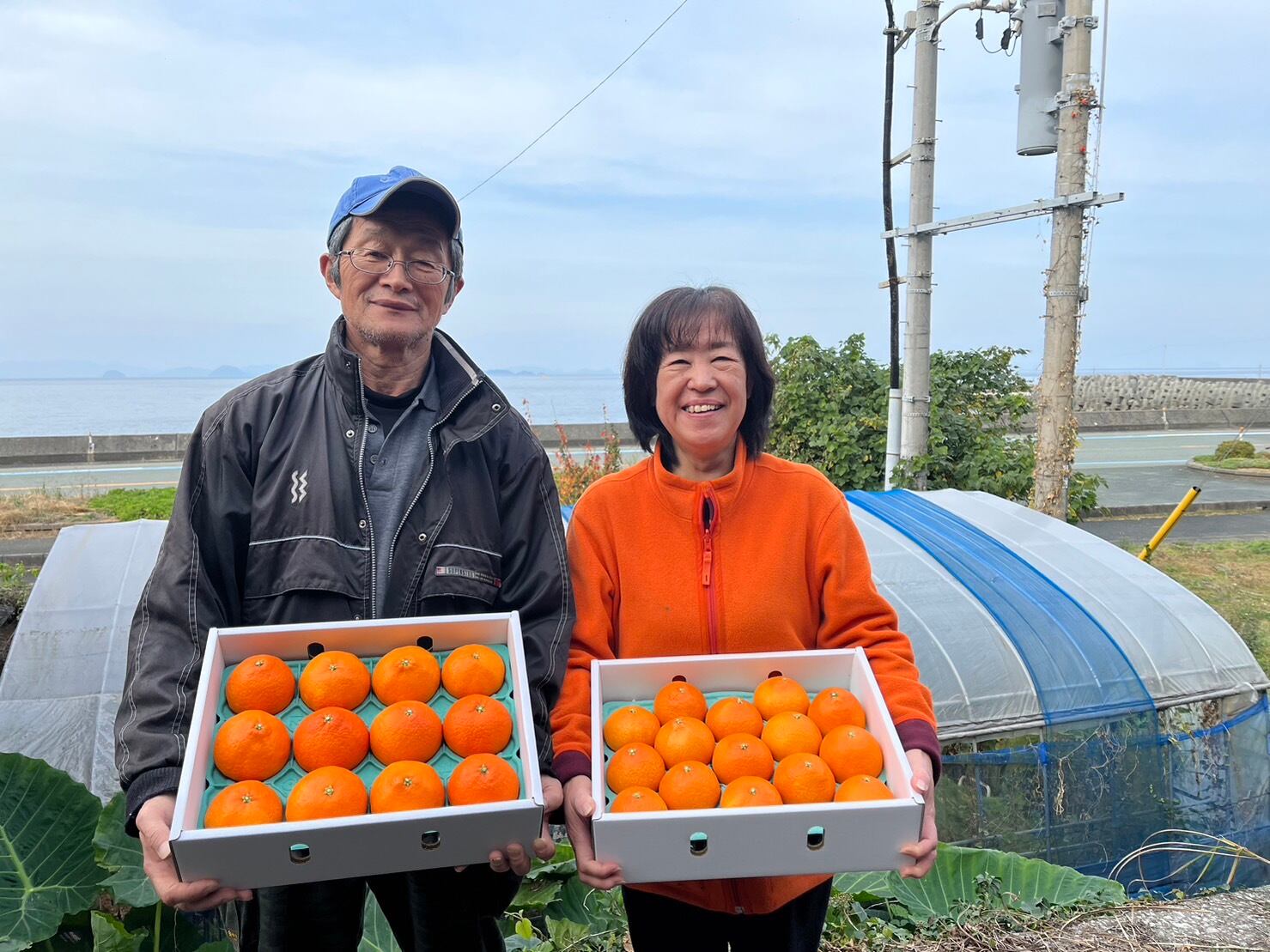 【むつみ】みかんジュース1000ｍｌ×12本+マドンナ6Kg　２個口発送 まどんなジュース(2本入り） | みねちゃんちのみかん