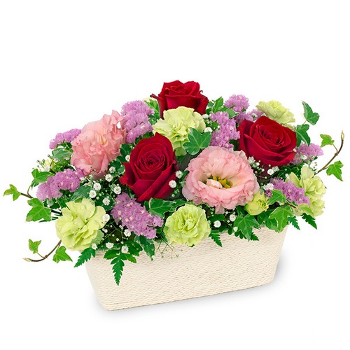 11月オススメ商品⑤　アレンジメント