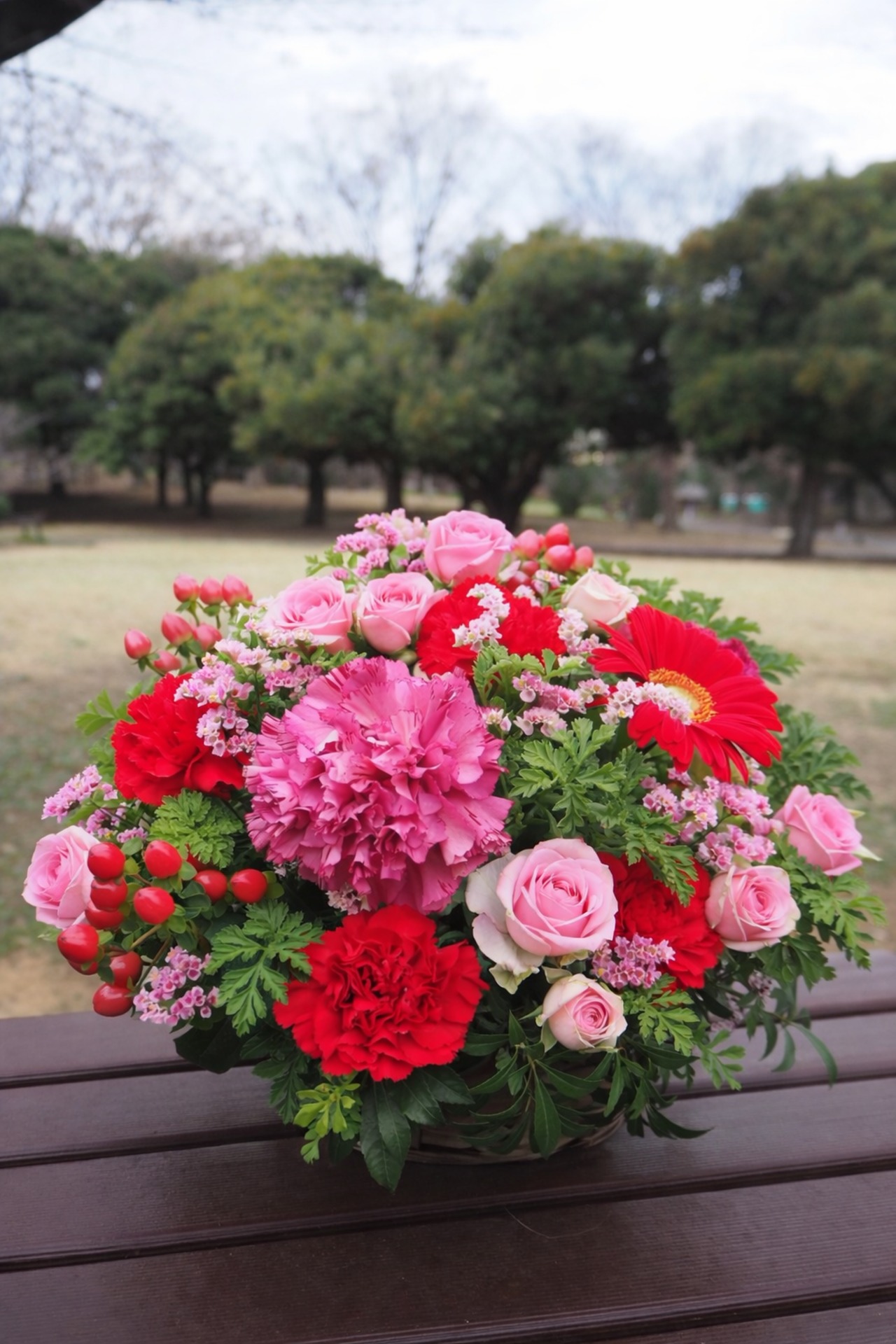 【5/10母の日】フランボワーズL