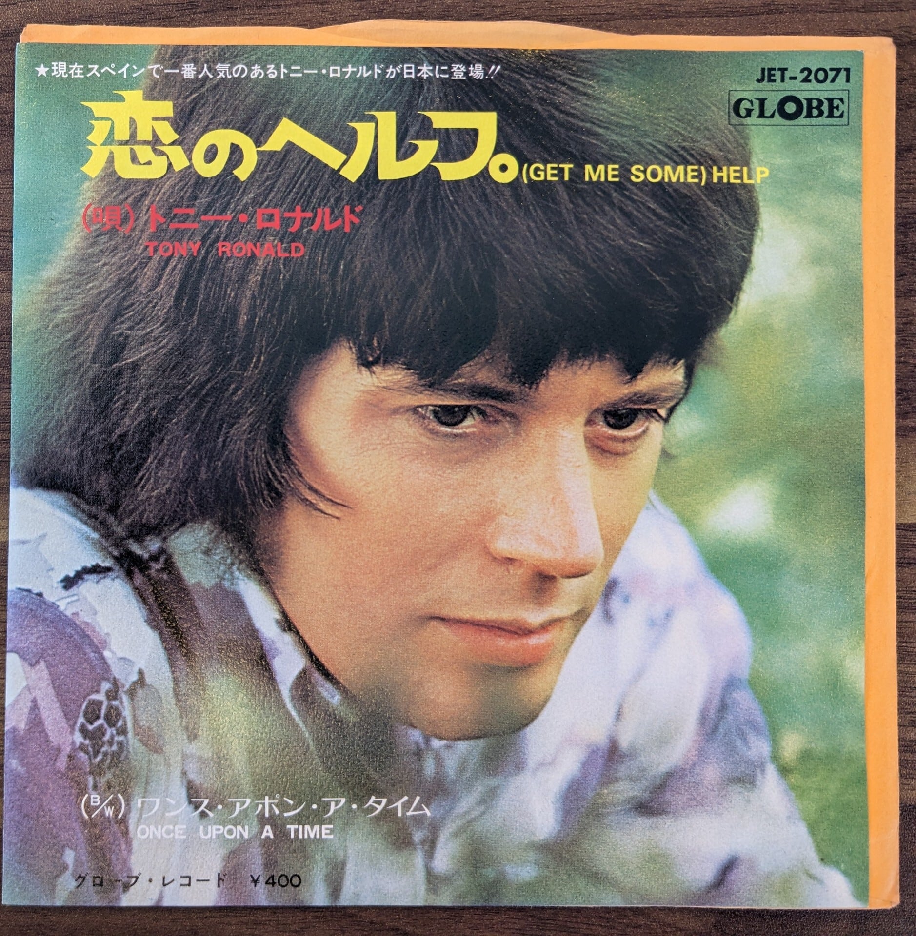 佐野元春「ナポレオンフィッシュと泳ぐ日」：LPレコード | 音とこだま