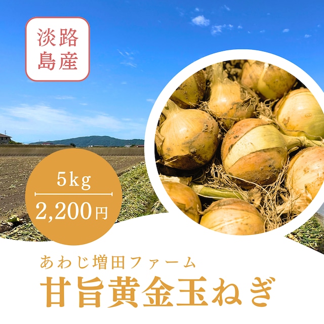 限定100箱【淡路島】とろける甘み!・甘旨黄金玉ねぎ(5キロ)