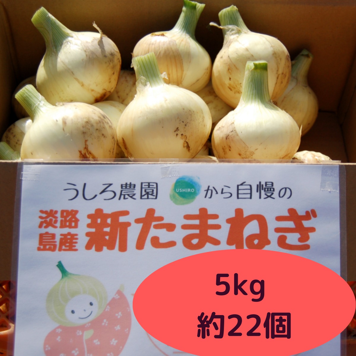 淡路島産 新玉ねぎ 極早生 5キロ - 野菜