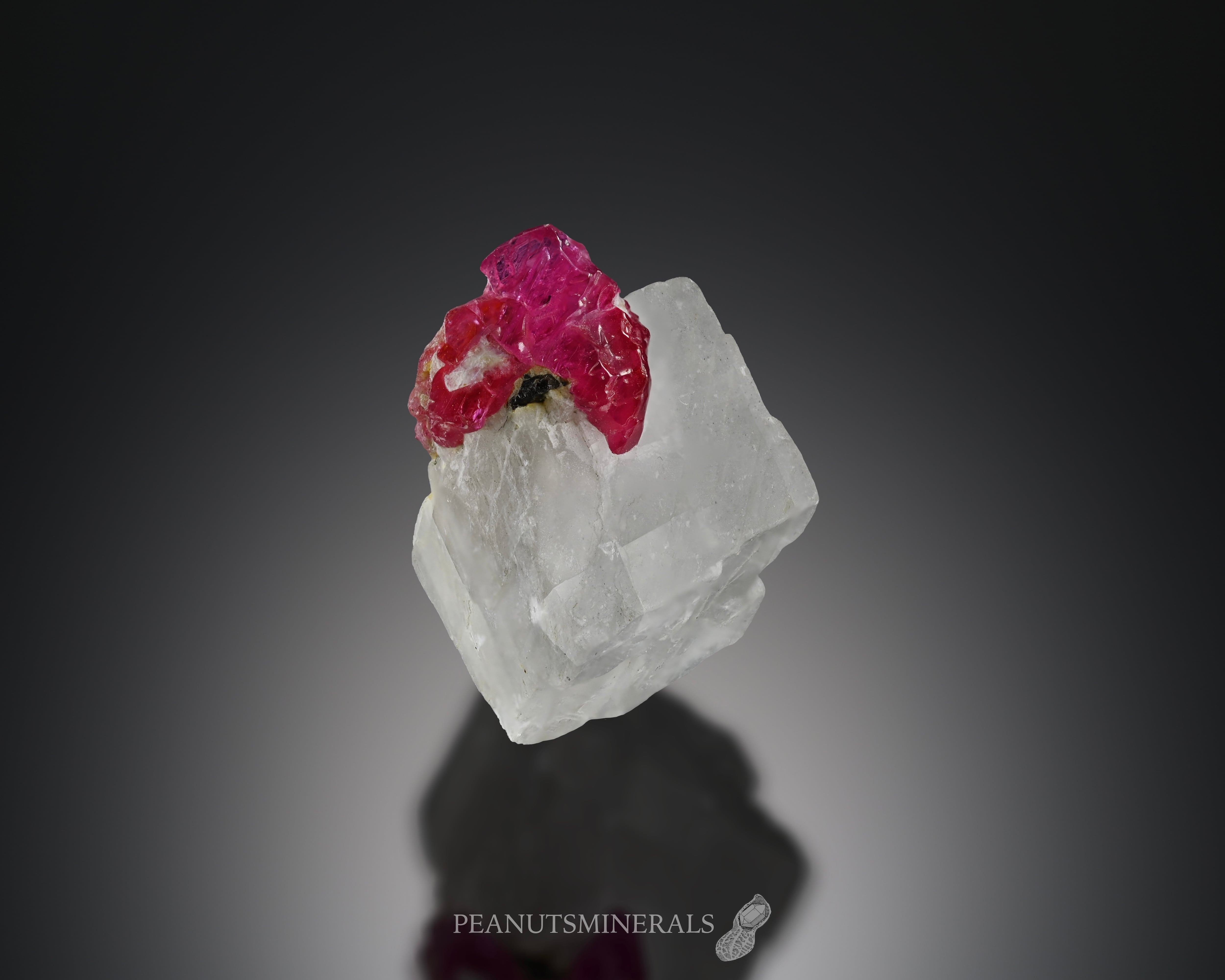 ルビー / カルサイト【Ruby on Calcite】ミャンマー産 | PEANUTS MINERALS