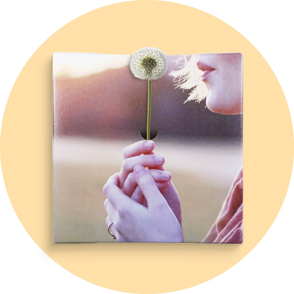 アートパネル キャンバスアート モデル カラー 一輪挿し IKEBANA IKE