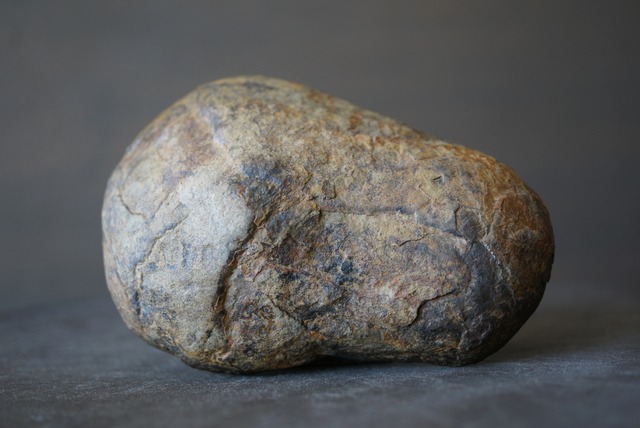 セプタリアン　Septarian　1101