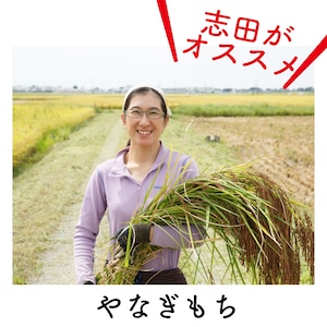 【自然栽培米】糯米・玄米　やなぎもち　５kg