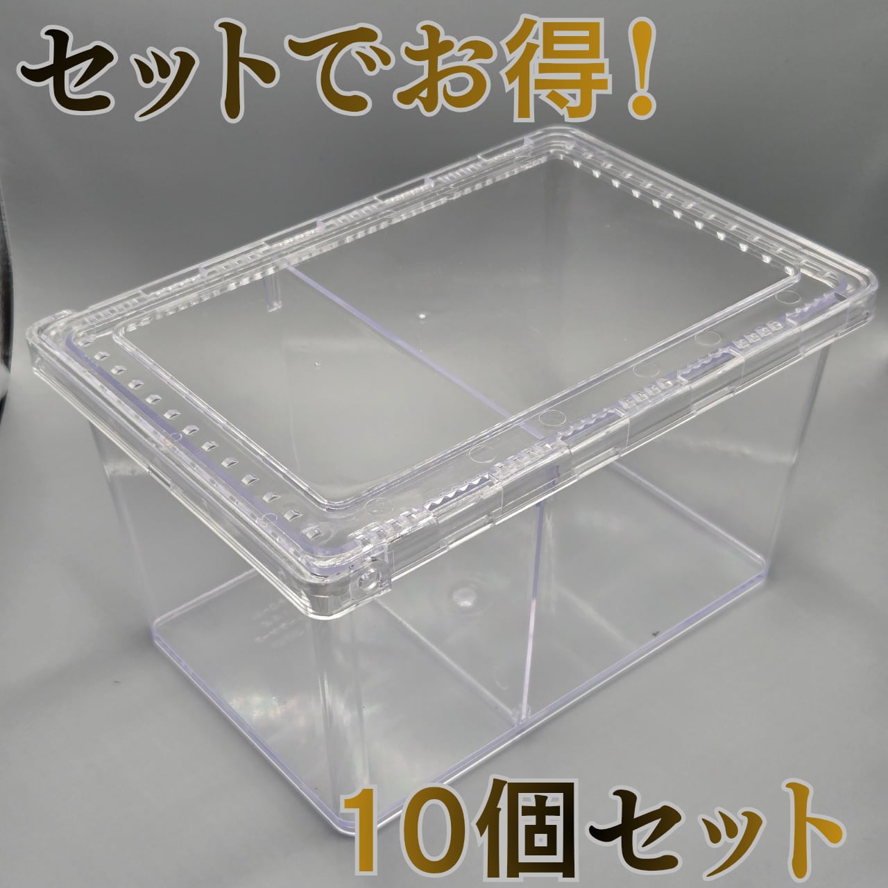 クリアスライダー 10個セット セットでお得！ | 昆虫専門店 鍬鉄