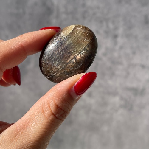 ケニア産 シーン入りブルーサファイア ゴールデンシーン パームストーン（コランダム）