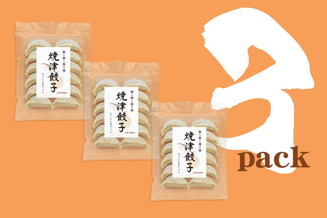 焼津”焼”餃子「12個入り×3袋」