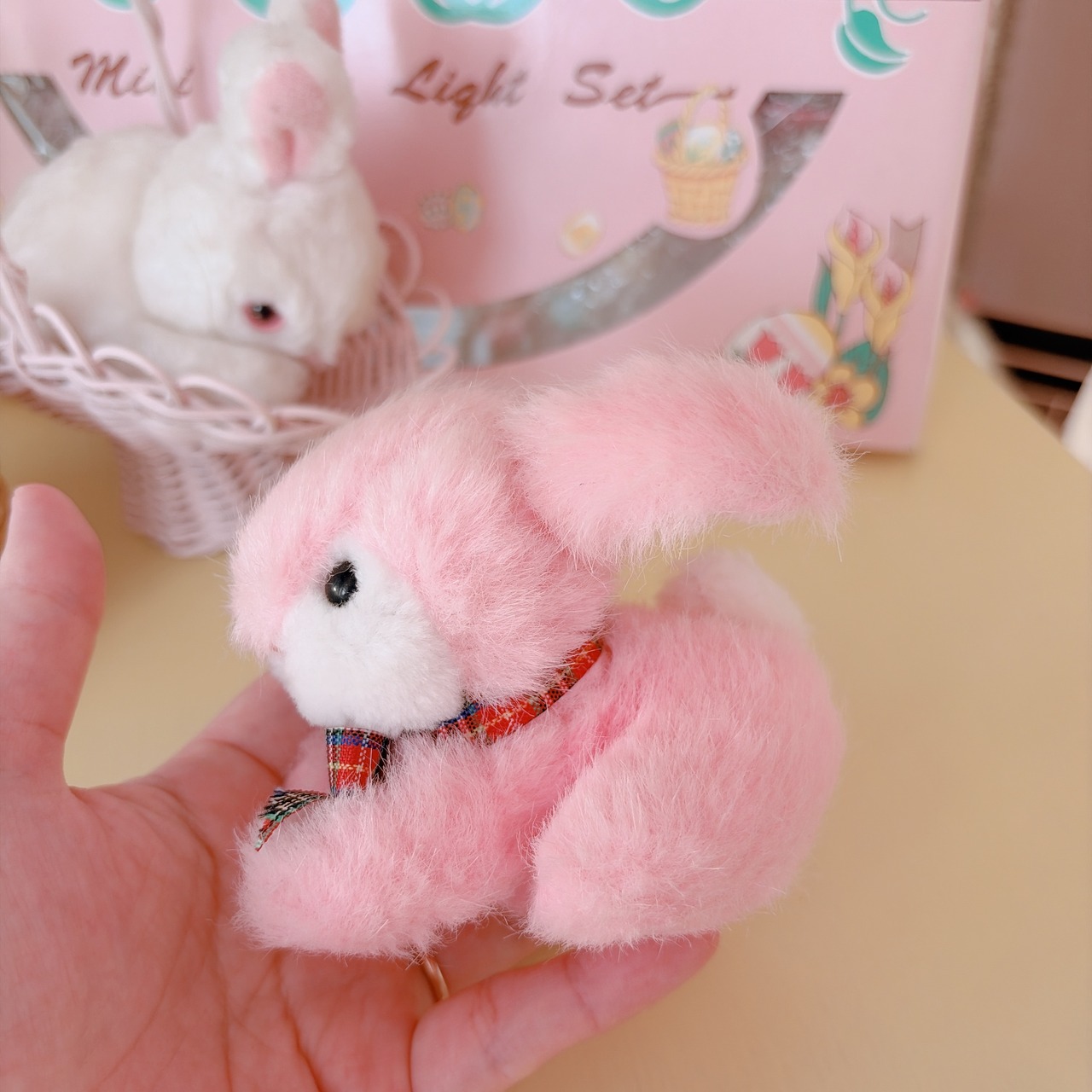 mini bunnysの画像04
