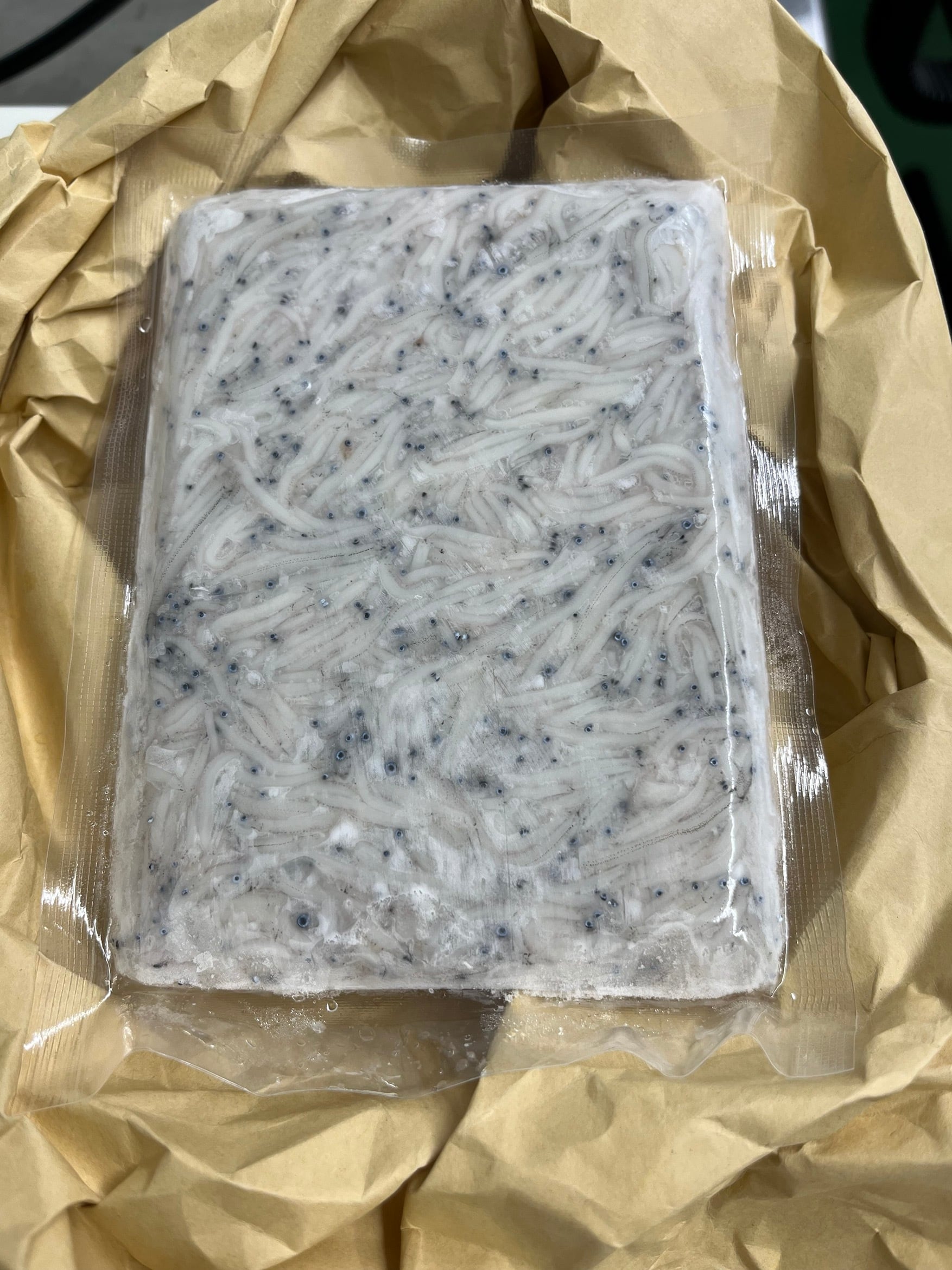 御前崎産冷凍生シラス100gパック