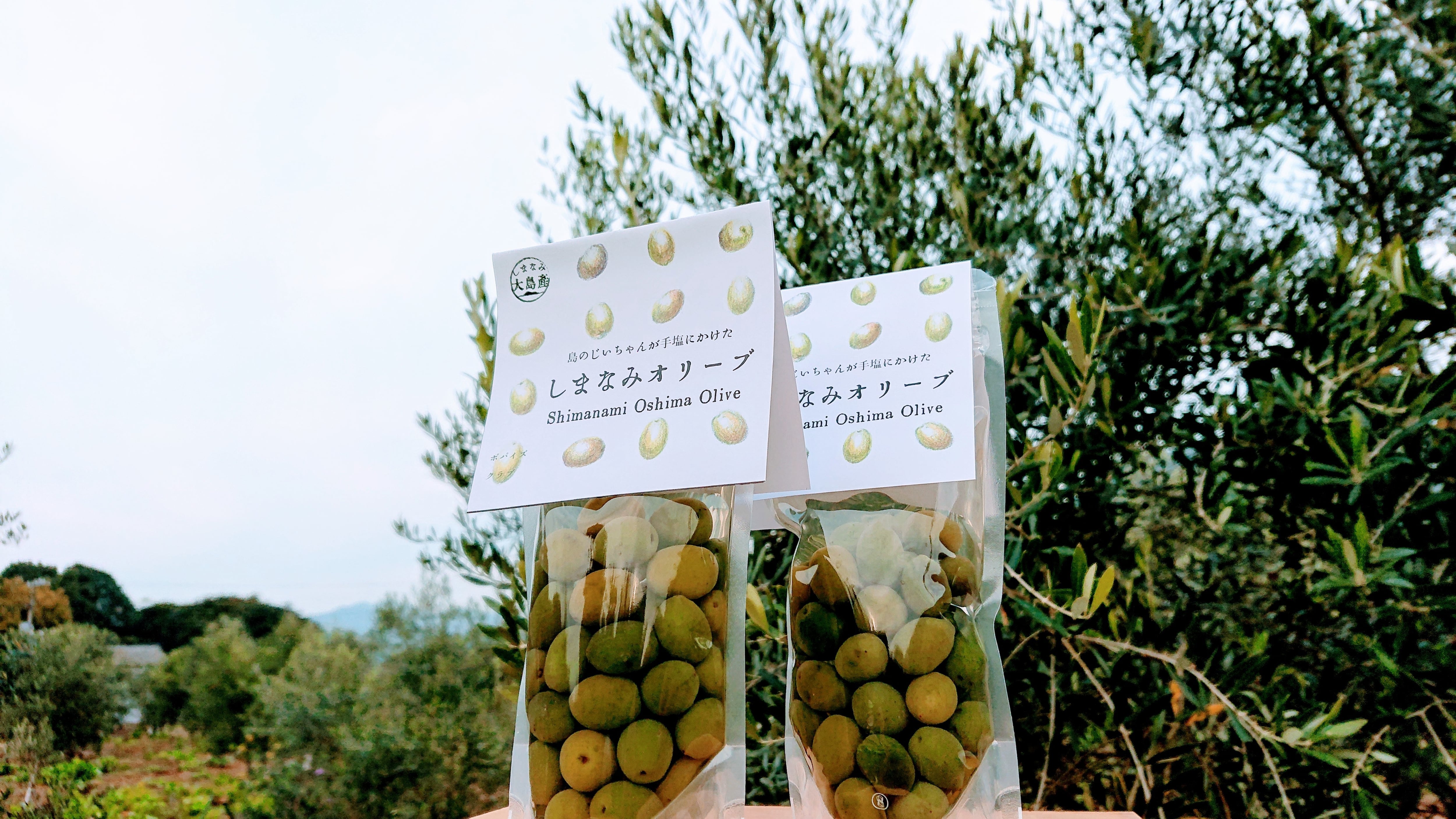 販売開始！【2025年度産】オリーブの塩漬け（100g）