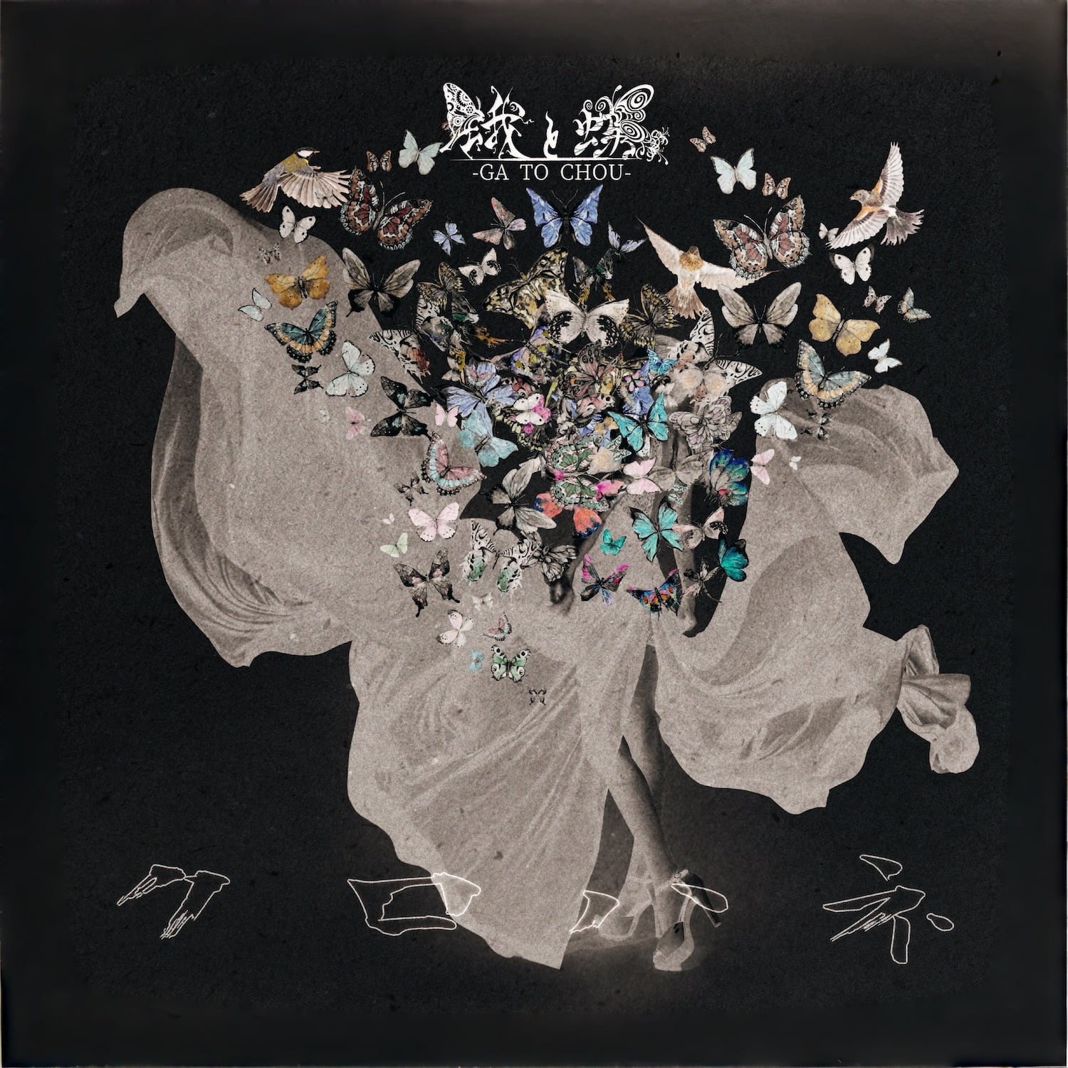 蝶画ナポレオン ボストン on X