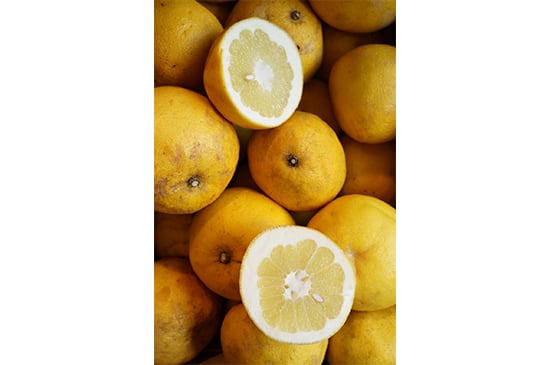 落果晩柑(熊本県産)・1kg