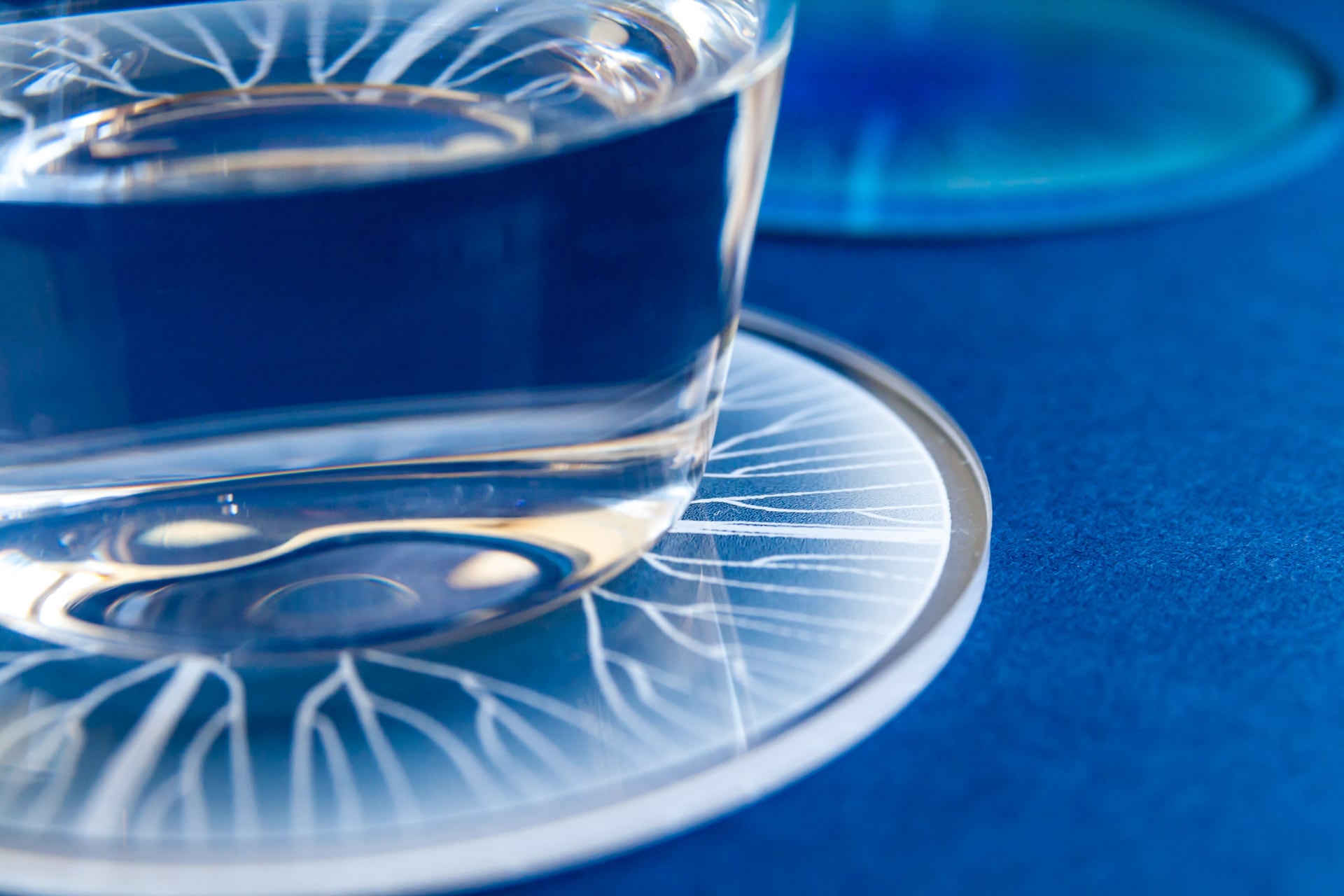 コースター（ミズクラゲ） | hoccolie