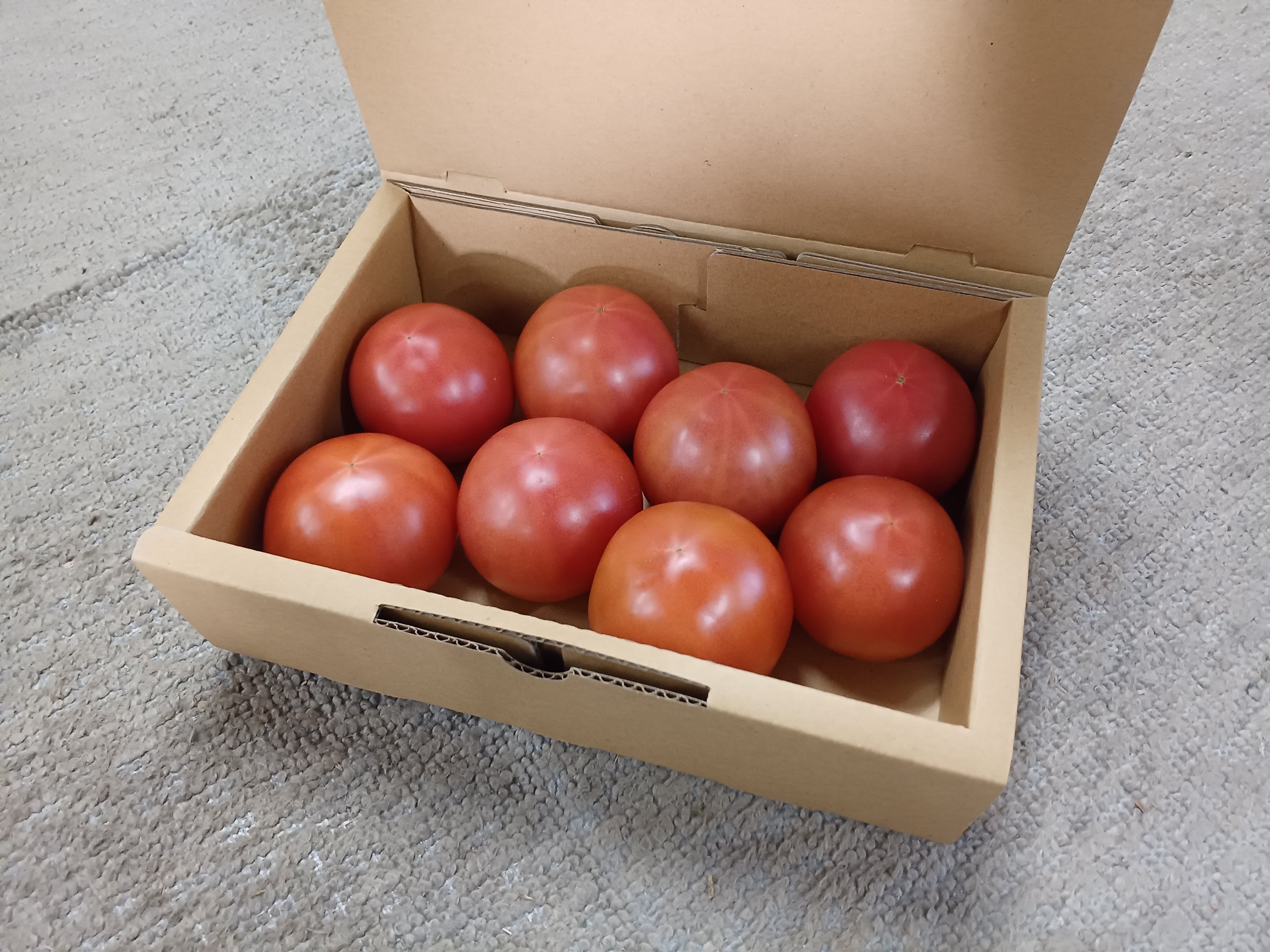 大玉トマト（かれん）1Kgダンボール詰 | かんなみトマトの白井農園