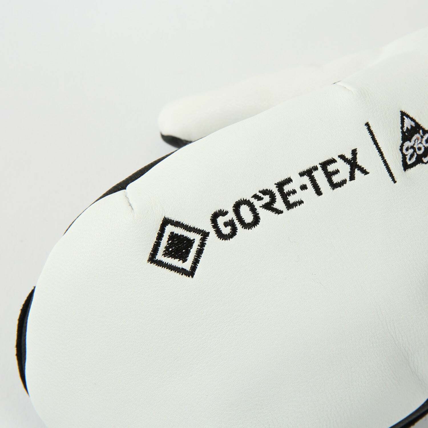 25-26 eb's スノボ 手袋 ゴアテックス CARVING MITT GORE-TEX エビス