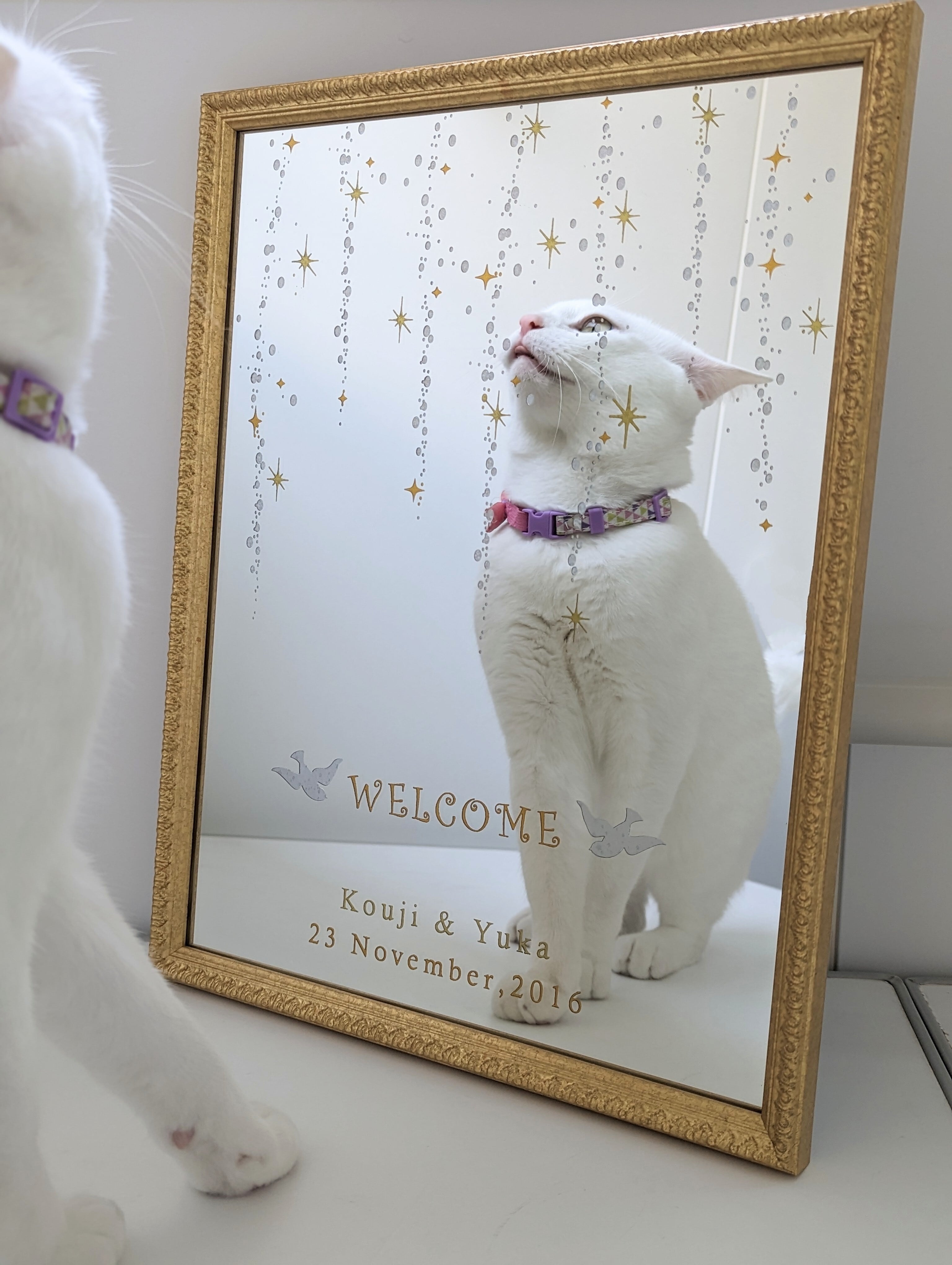 ウェルカムボード【しだれ星】結婚式｜ウェディング｜ウェルカムミラー