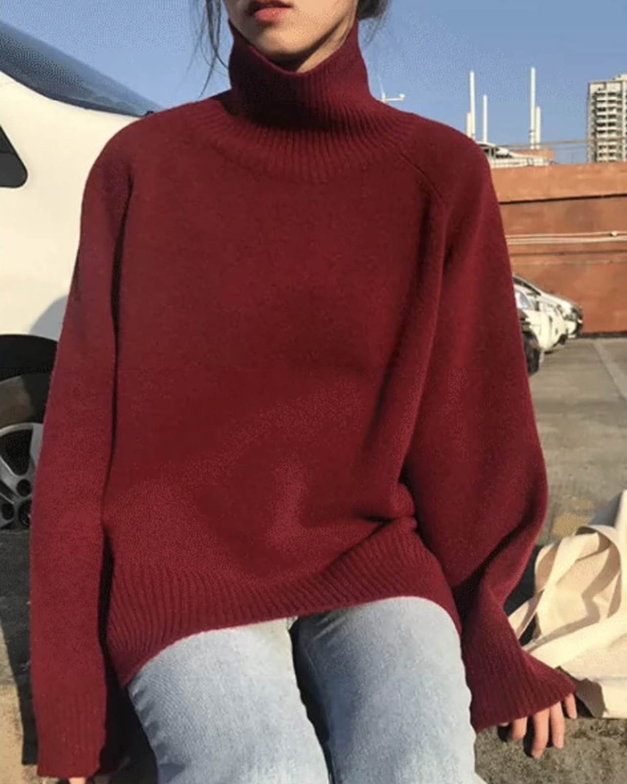 Turtle neck Knit　T20268