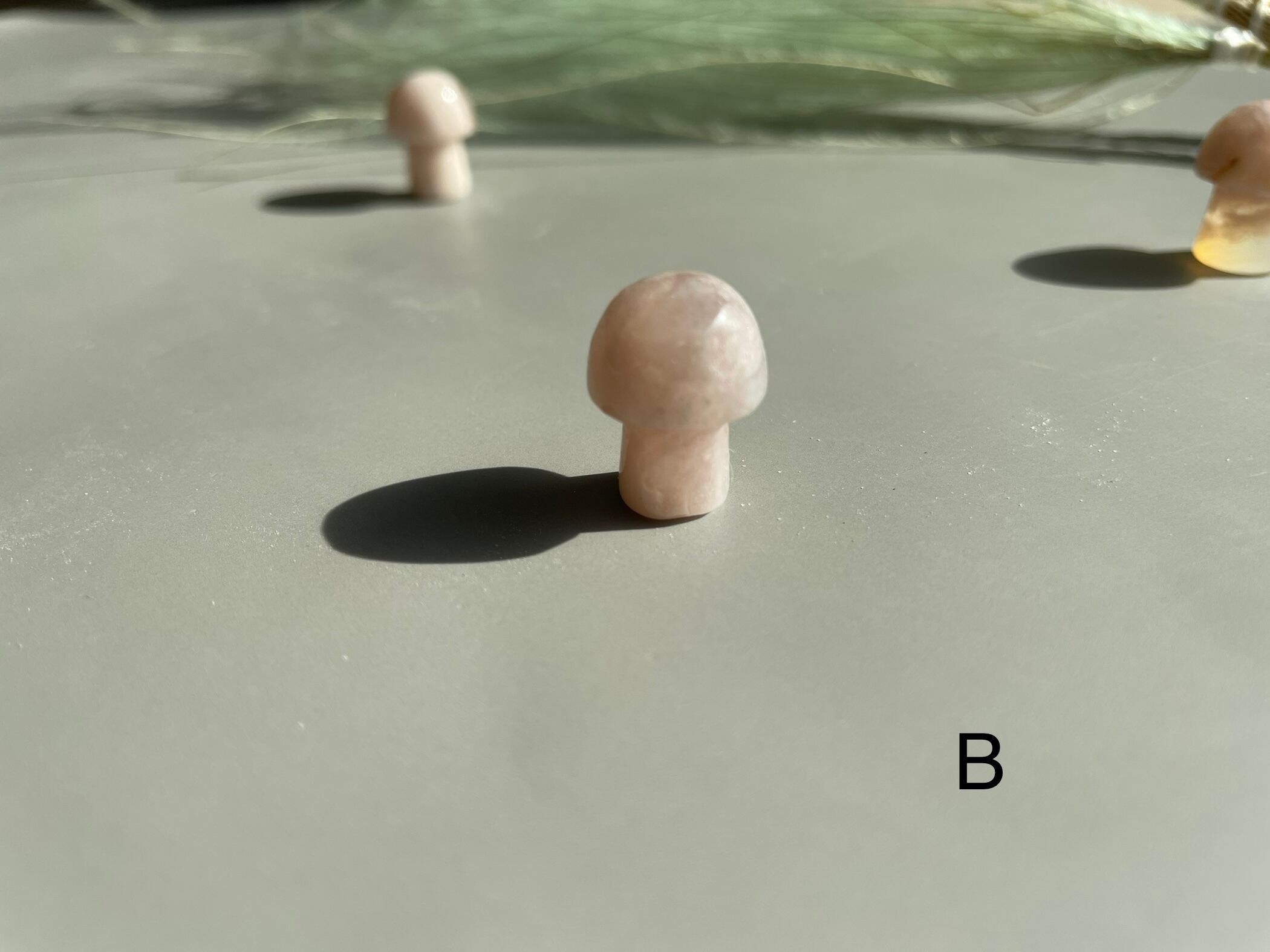 桜めのう　きのこ