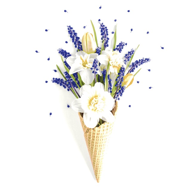 【Paper+Design】バラ売り2枚 ランチサイズ ペーパーナプキン Spring cone ホワイト