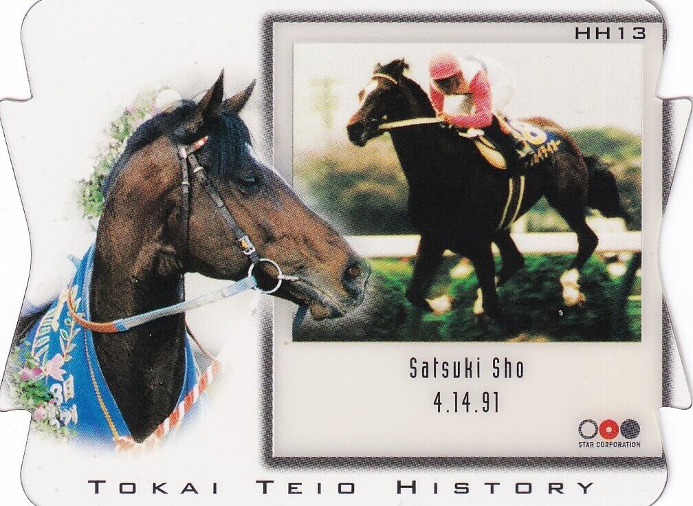 トウカイテイオー(枠連3-6)：第38回 有馬記念「The Classic 1998 Road