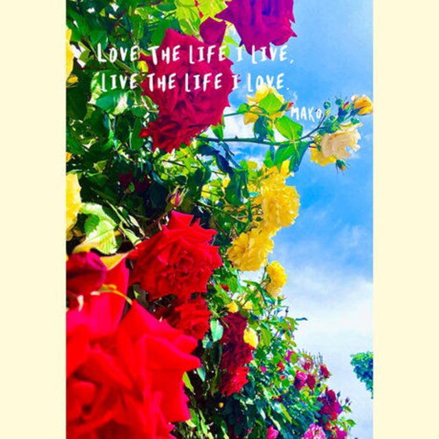 LOVE THE LIFE I LIVE, LIVE THE LIFE I LOVE.
