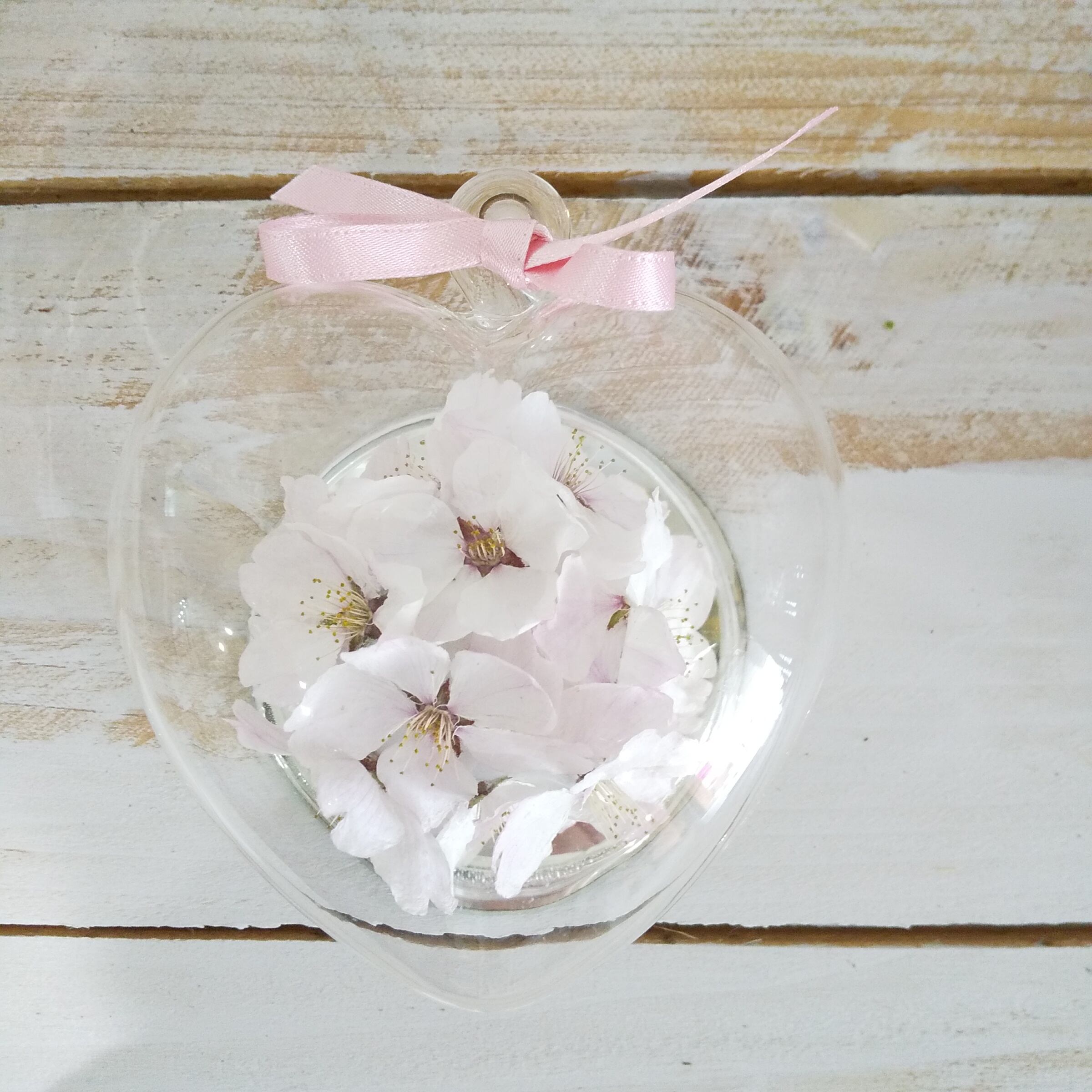 ドライフラワー 桜 ハート Chloris クロリス