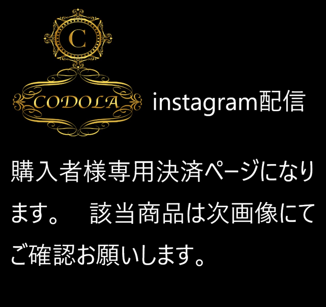 インスタグラム配信 2/29 20240228003様 専用ページ 画像と説明をご