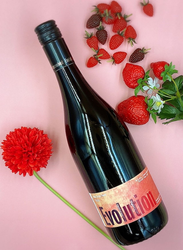 【SUNNY WITH A CHANCE OF FROWERS】ソーヴィニヨン・ブラン　Sauvignon Blanc