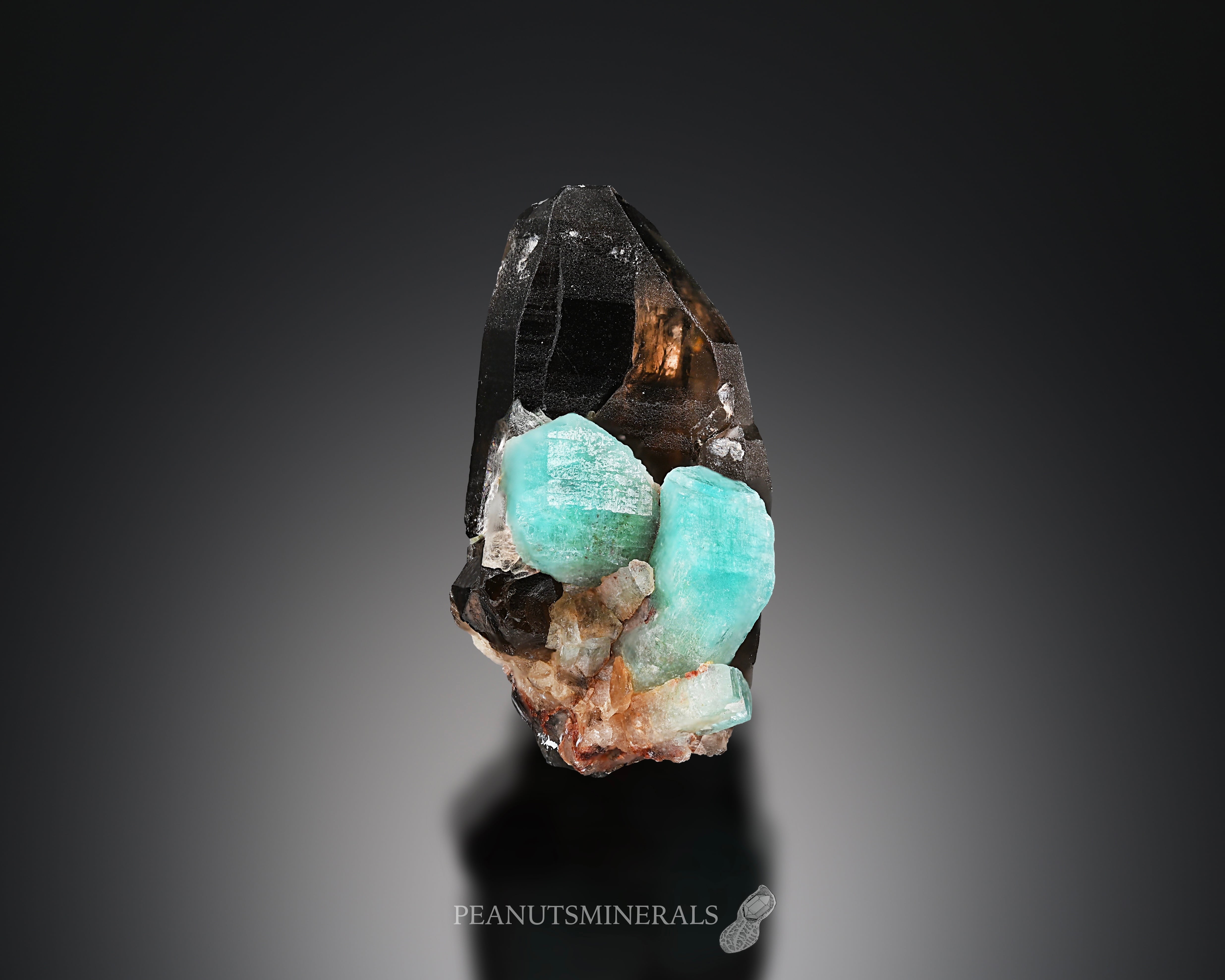 スモーキークォーツ / アマゾナイト【Smoky Quartz with Amazonite