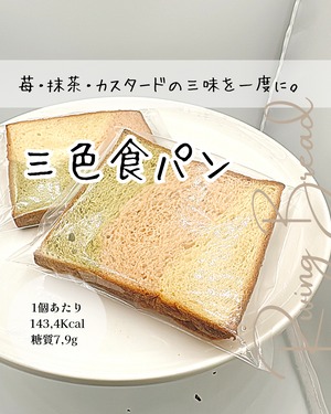 【2枚】 三色食パン　-3月新作-