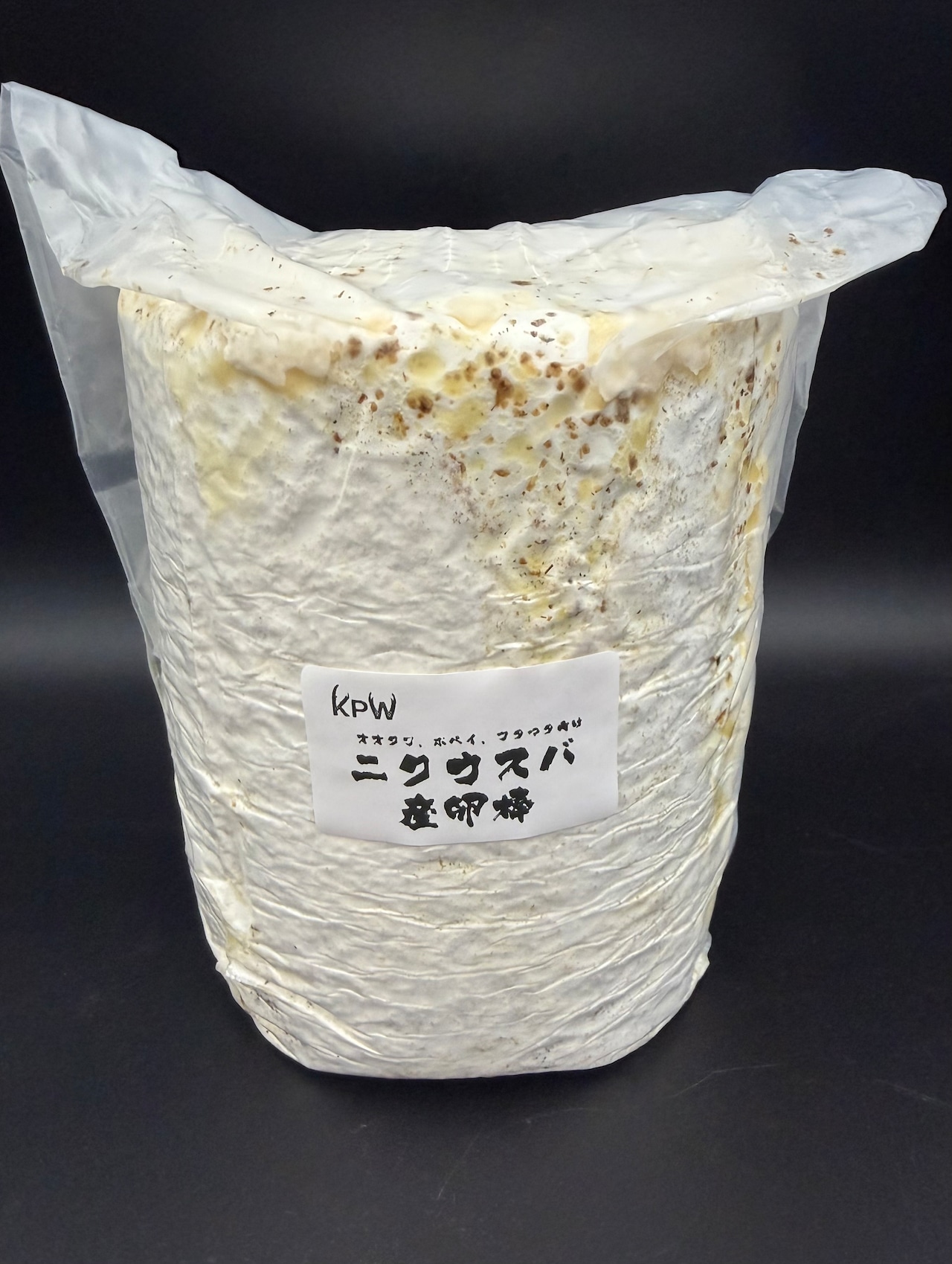 ニクウスバ産卵棒 1本入り