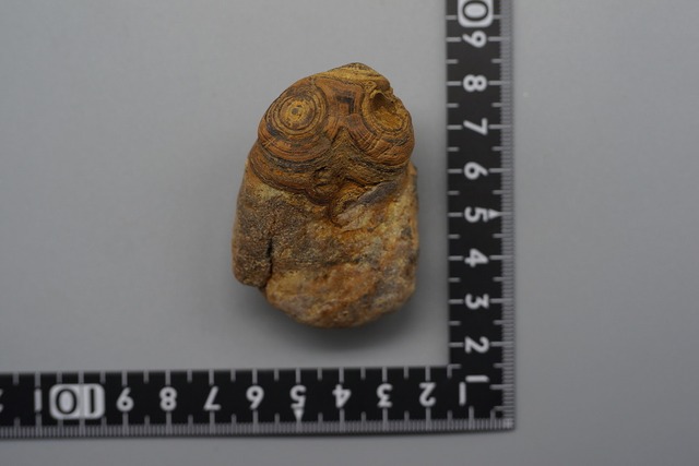 ゴビアゲート Gobi Desert Eye Agate　土偶