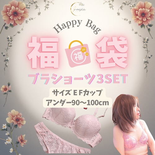 希少なE90 3L E95 4L F90 3L F95 4L  F100 5L 3setおまとめ福袋＼EFサイズ☆／【ブラショーツセット】大きいサイズ 下着 フリージア