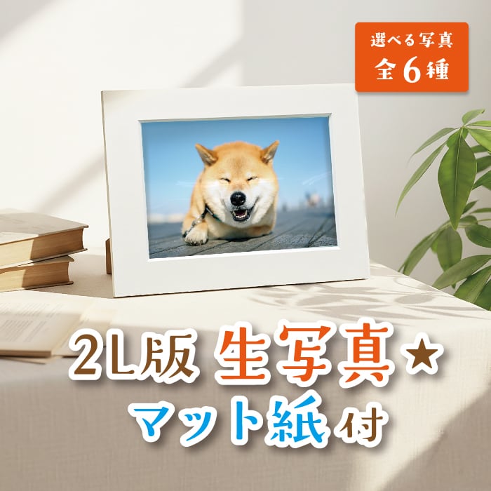 marutaroshop