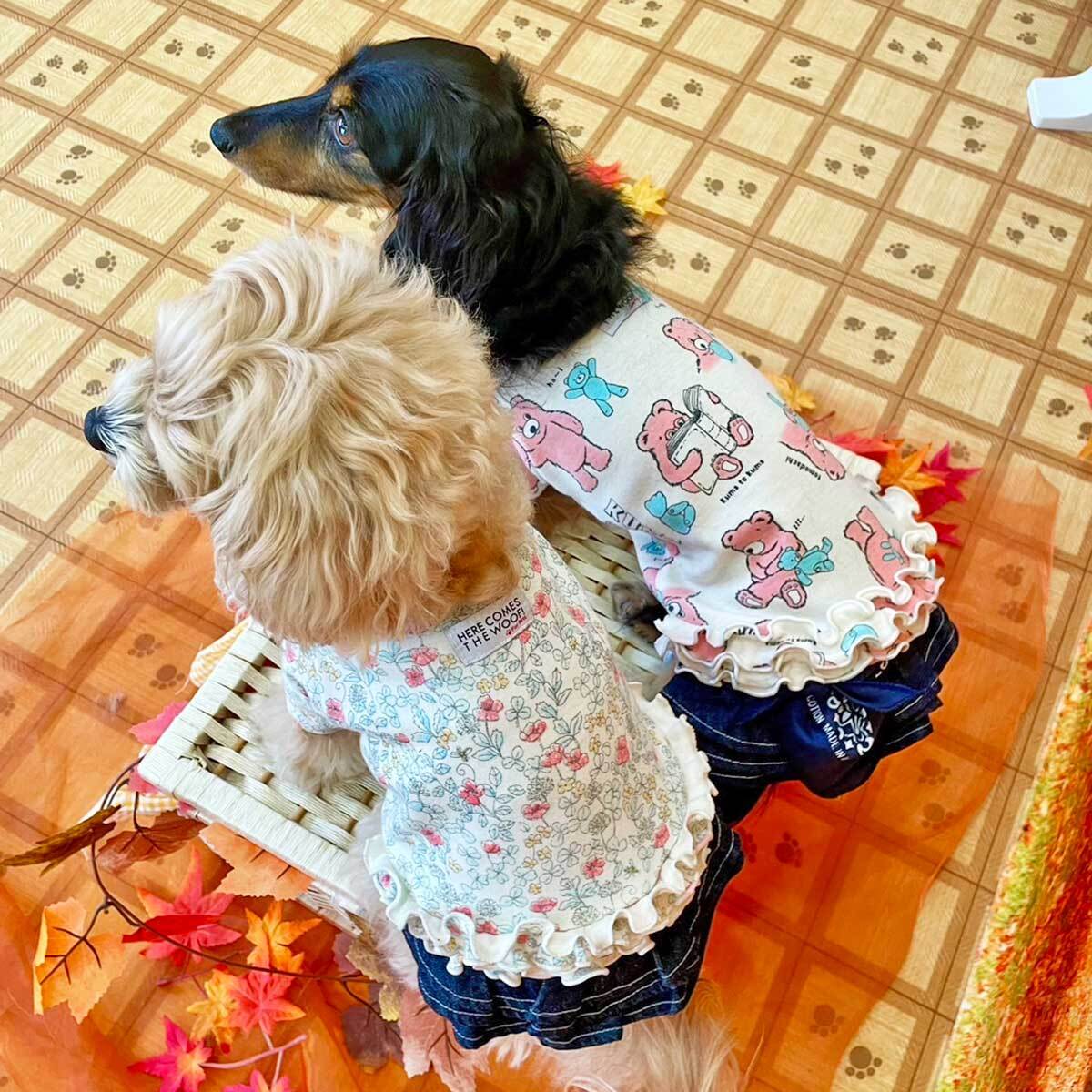 ドッグウェア | HERE COMES THE WOOF!
