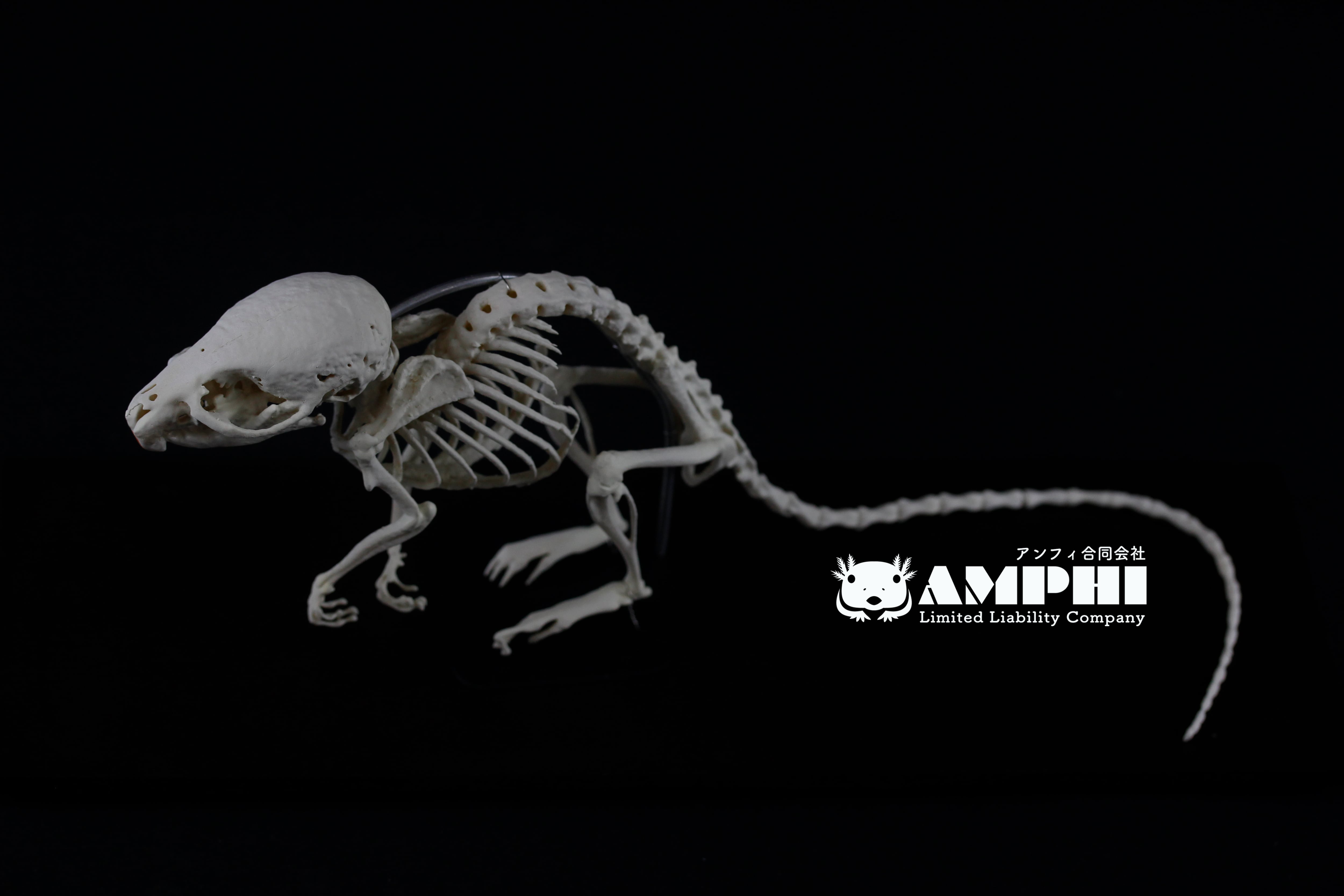 232ee01868bd8bd972d3941e9ea7fb