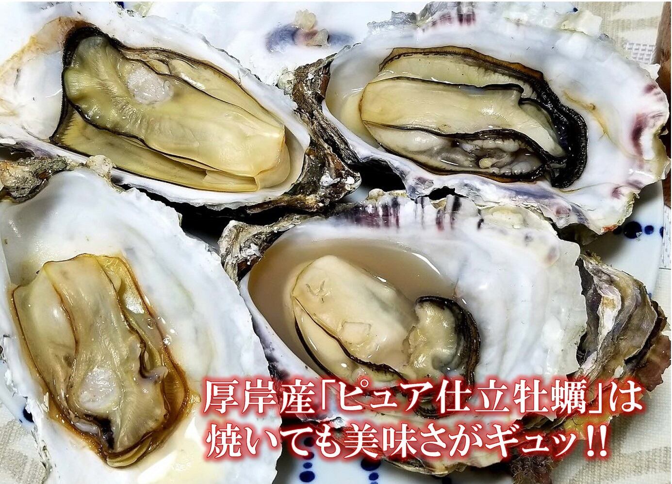 北海道厚岸産の蓄養牡蠣、マルえもんM！一口食べれば、濃厚な旨味がギュッと詰まって、家族みんなが笑顔になる美味しさ！　オホーツク美味マルシェ