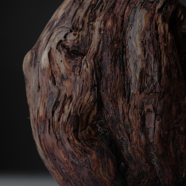 Tree burl