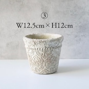 フィカス ベンジャミン 斑入り フェイクグリーン 観葉植物 インテリア シンボルグリーン H約75cm
