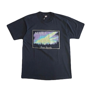 USED 90s "ALASKA" T-shirt - Large 03078