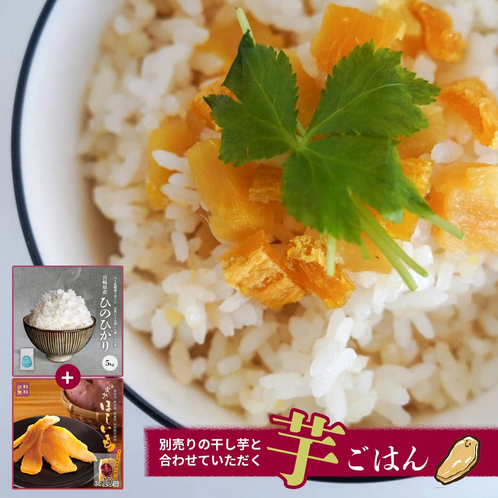 令和6年新米|予約】宮崎県産 ひのひかり NS乳酸菌配合 5kg(上 令和6年新米|予約】宮崎県産 ひのひかり NS乳酸菌配合 5kg(上