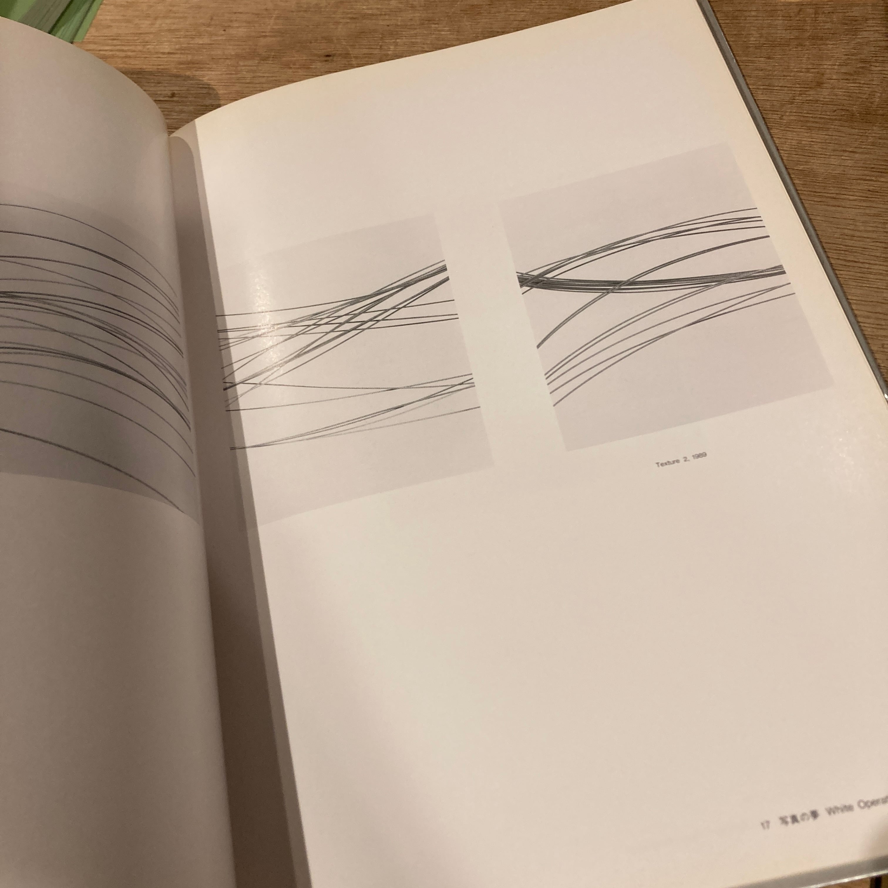 Phylo Photographs Annual 1990 パイロ・フォトグラフス・アニュアル