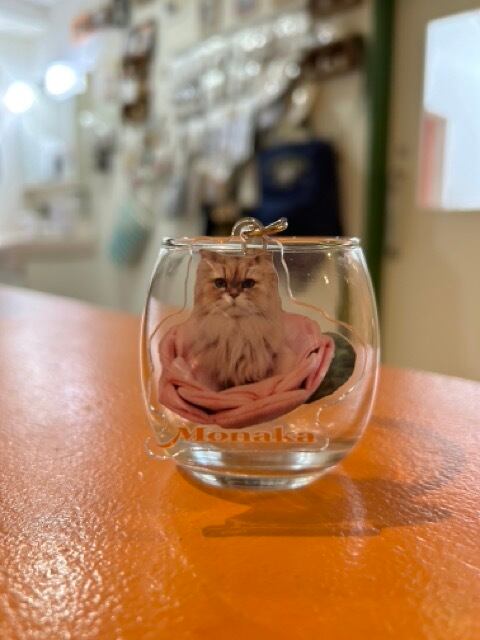 ねこカフェなる在籍猫スタッフオリジナルアクリルキーホルダー各種