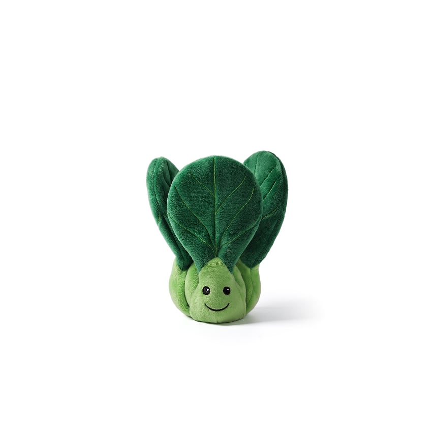 Delicious Bok Choy_MC400167