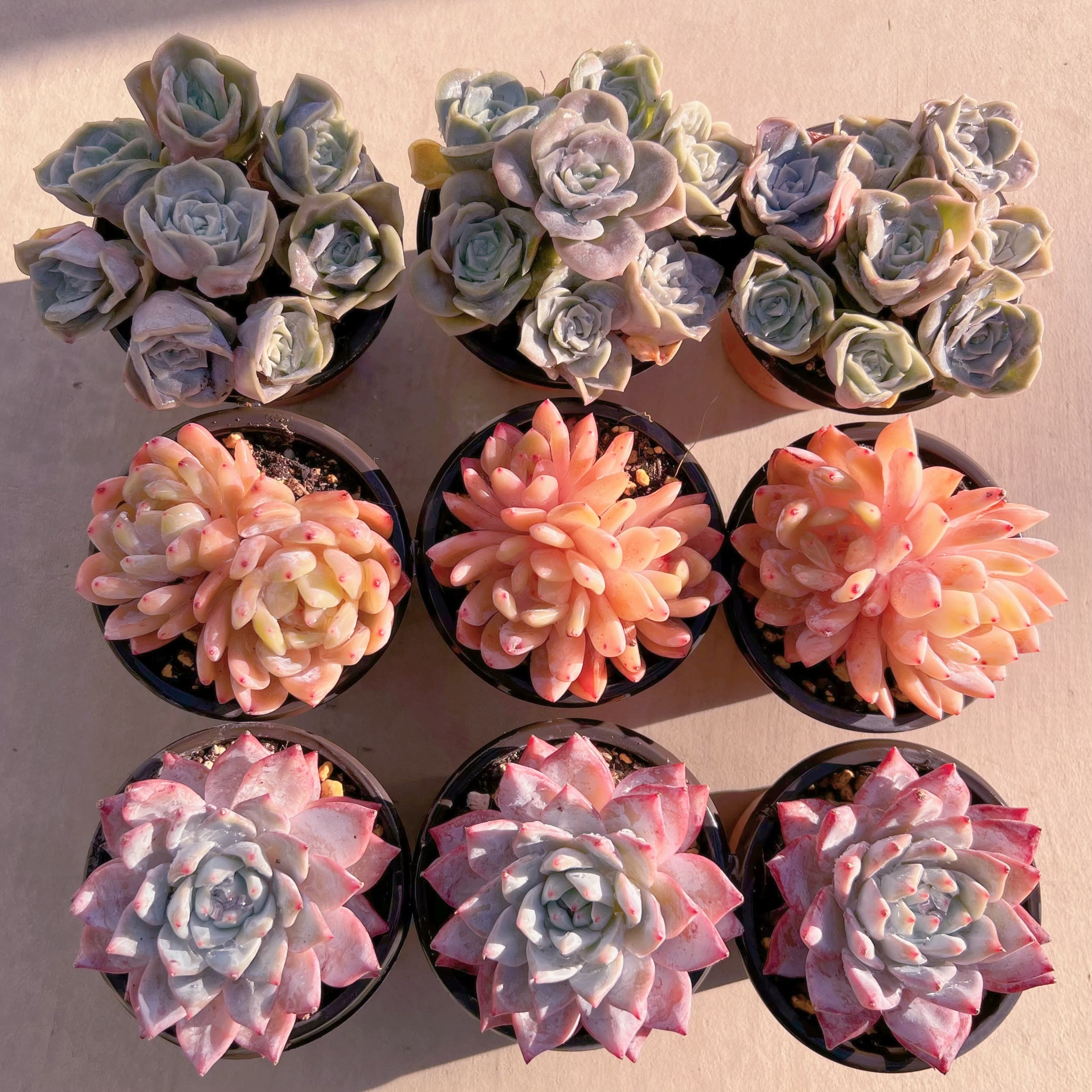 BASE販売会セット008