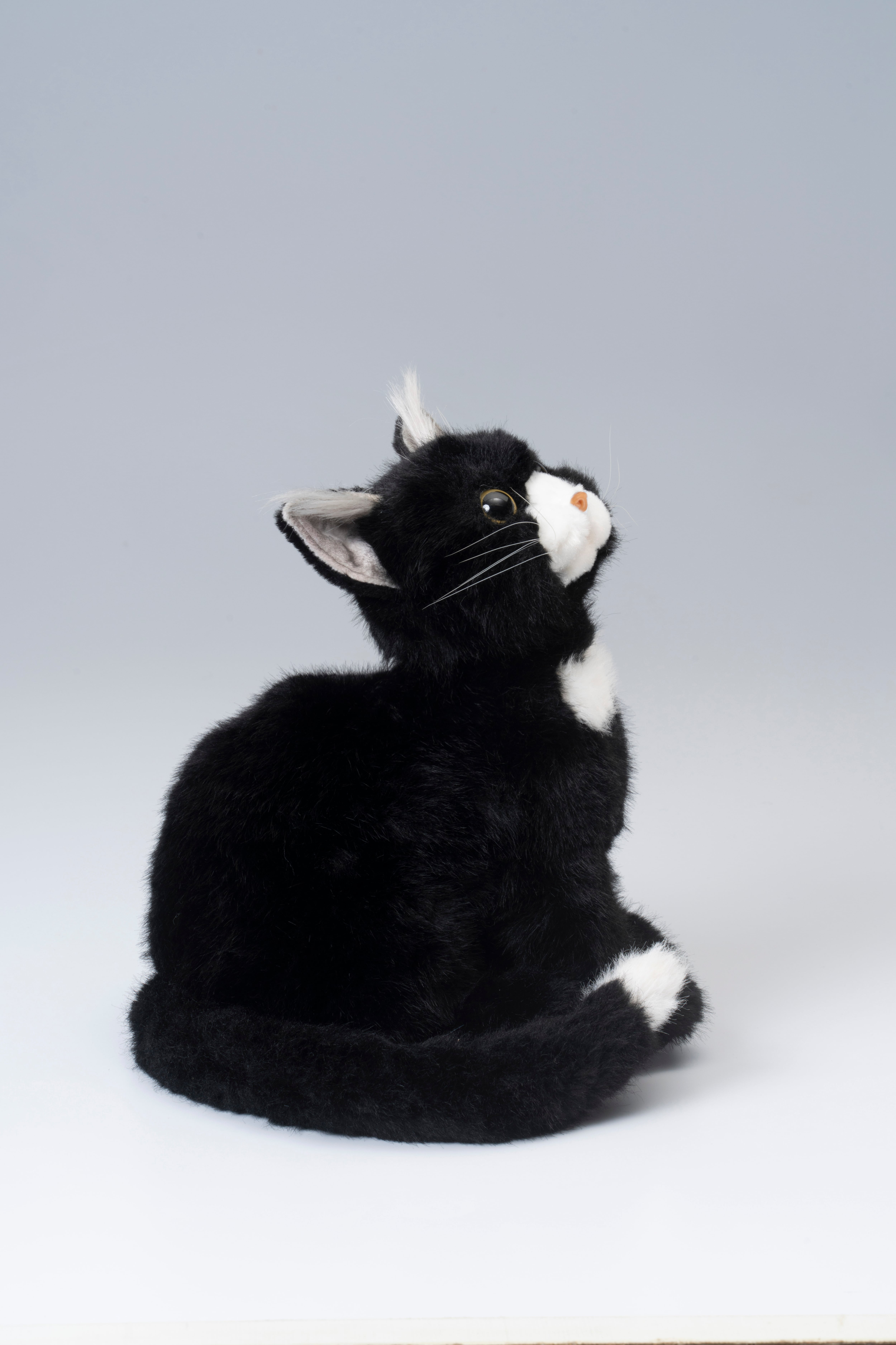なでなでねこちゃん子猫ちゃん ハチワレ | トレンドマスター