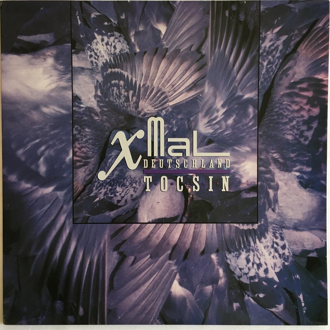 LP】X Mal Deutschland ‎– Tocsin | マメシバレコード mameshiba records