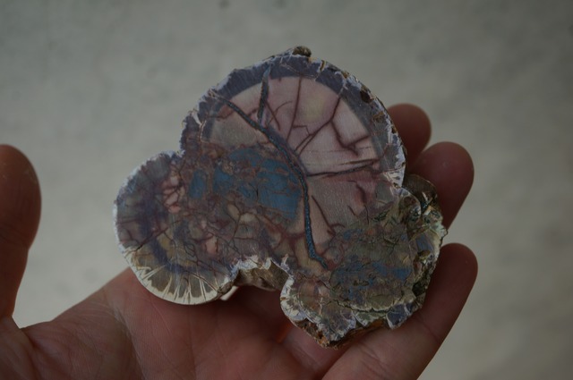 コールドマウンテン・サンダーエッグ Cold Mountain Thunderegg 2363